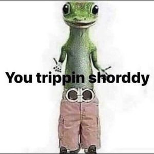 Meet your Posher, Don